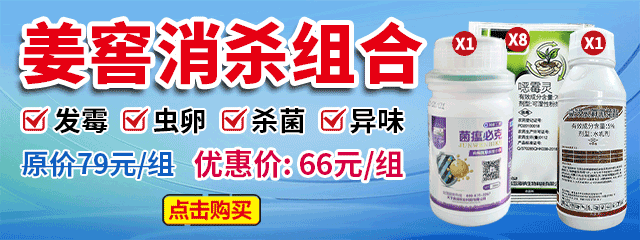 姜窖消殺組合