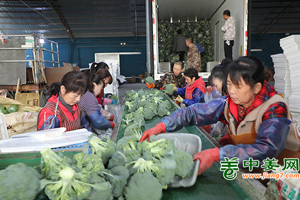 甘肅臨澤：蔬菜冷庫(kù)助農(nóng)搶占“鮮”機(jī) ()