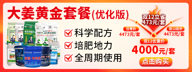 大姜黃金套餐(優(yōu)化版)640-240