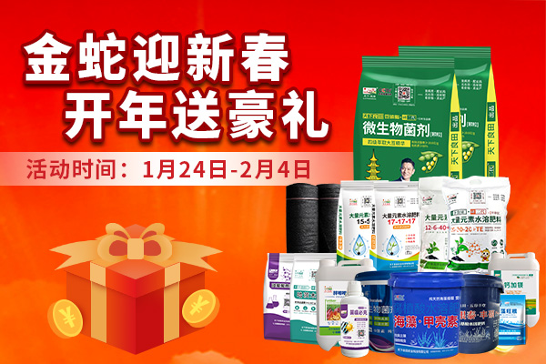 金蛇迎新春 開年送豪禮 ()