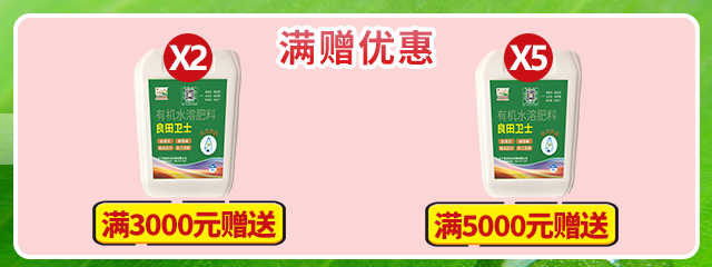 滿贈(zèng)優(yōu)惠改