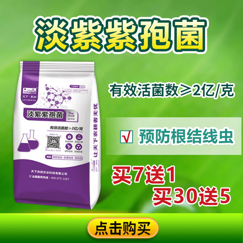 淡紫紫孢菌公眾號(hào)800-800