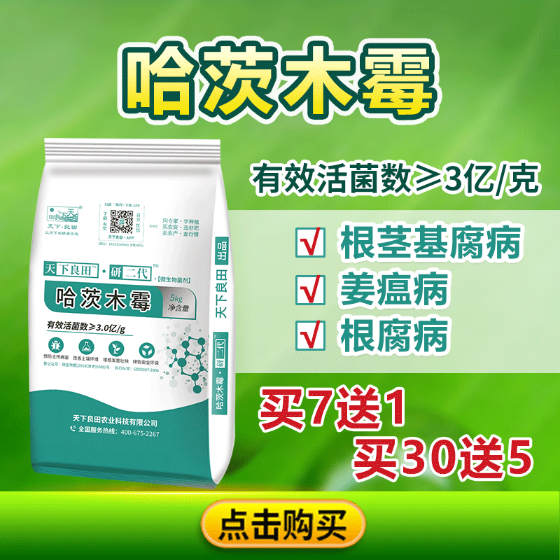 哈茨木霉公眾號(hào)800-800