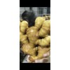 生姜出口加工水洗姜風(fēng)干姜