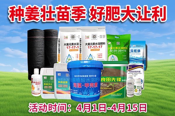 種姜壯苗季 好肥大讓利 ()