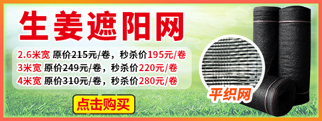生姜遮陽網(wǎng)