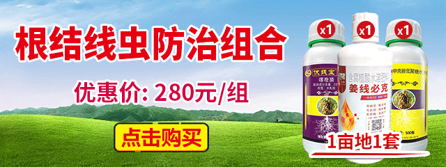 根結(jié)線蟲防治組合