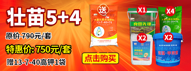 壯苗5+4