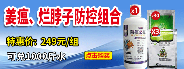 姜瘟、爛脖子防控組合