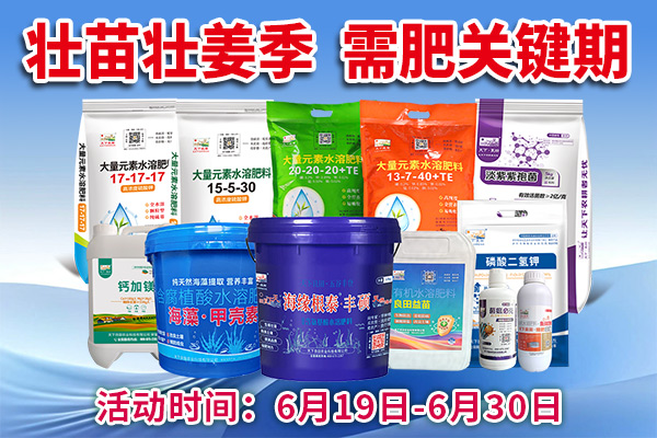 壯苗壯姜季 需肥關鍵期 ()