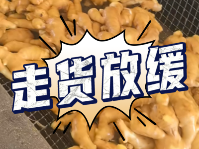6月28日 生姜價格行情（走貨放緩） ()