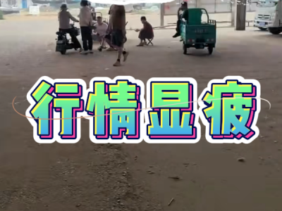 6月28日 安丘黑埠子（行情顯疲） ()