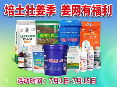 培土壯姜季 姜網(wǎng)有福利！ ()