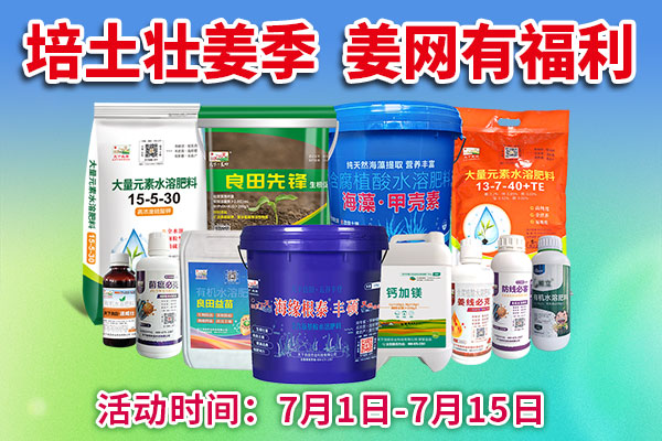 培土壯姜季 姜網(wǎng)有福利 ()