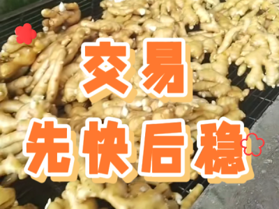 6月30日 生姜價格行情（交易先快后穩(wěn)） ()