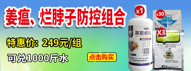姜瘟、爛脖子防控組合