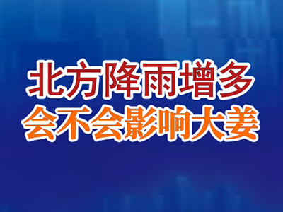 老石說姜：北方降雨增多，會不會影響大姜？ ()