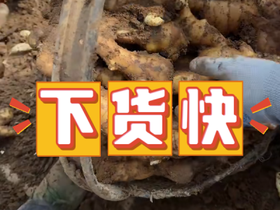 7月1日 安丘黑埠子（下貨快） ()