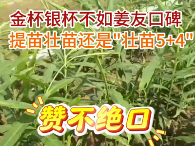 金杯銀杯不如姜友口碑，提苗壯苗還是“壯苗5+4” ()