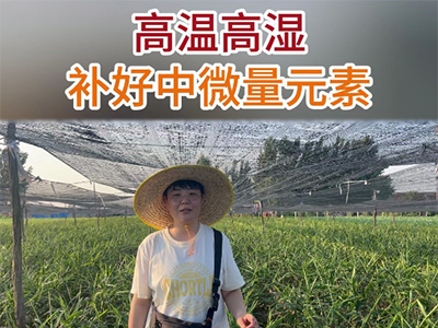 高溫高濕補(bǔ)好中微量元素 ()