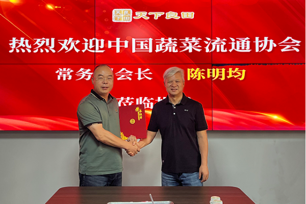 天下良田榮獲“蔬菜產(chǎn)業(yè)突出貢獻(xiàn)單位”榮譽(yù)稱號 ()