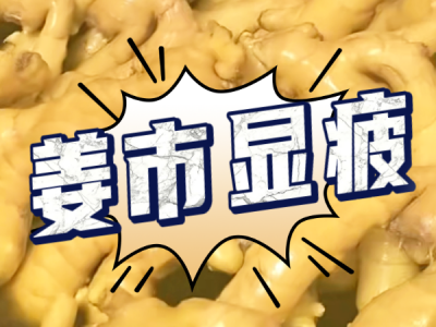 7月11日 生姜價(jià)格行情（姜市顯疲） ()