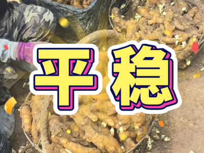 7月11日 安丘黑埠子（平穩(wěn)） ()