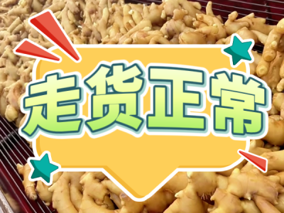 7月12日 生姜價(jià)格行情（走貨正常） ()