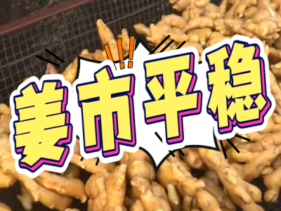 7月15日 生姜價(jià)格行情（姜市平穩(wěn)） ()