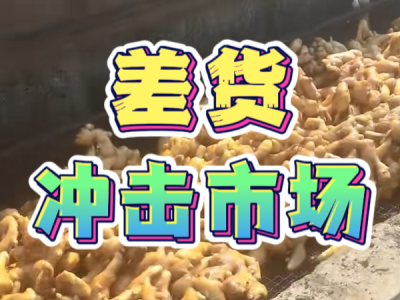 7月18日 生姜價(jià)格行情（差貨沖擊市場） ()