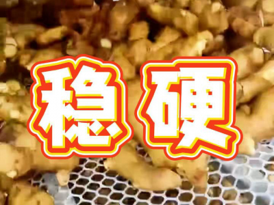 7月22日 萊州呂村大姜（穩(wěn)硬） ()
