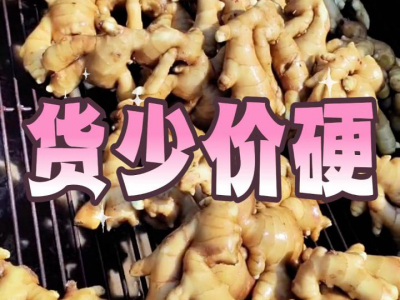7月22日 昌邑琨福大姜（貨少價(jià)硬） ()