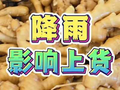 7月21日 昌邑琨福大姜（降雨影響上貨） ()