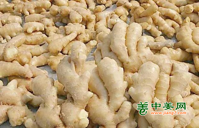 水洗后的大姜