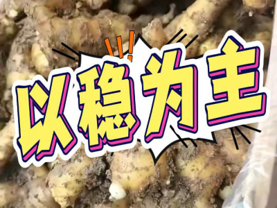 7月19日 安丘黑埠子（以穩(wěn)為主） ()