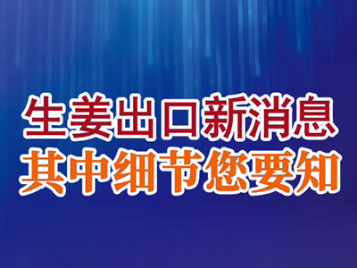 老石說姜：生姜出口新消息，其中細(xì)節(jié)您要知 ()