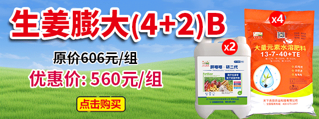 生姜膨大(4+2)B