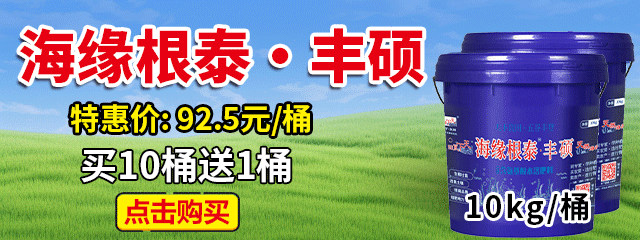 海緣根泰•豐碩