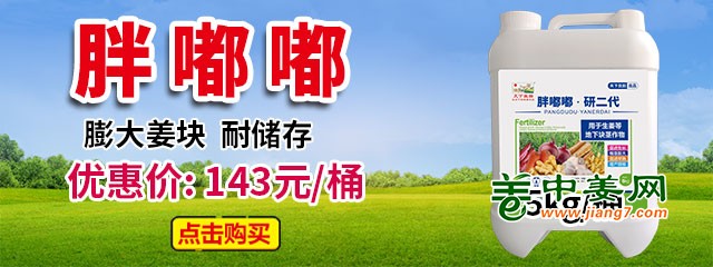 胖嘟嘟