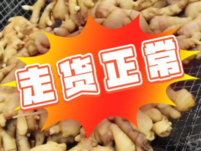 7月28日 昌邑琨福大姜（走貨正常） ()