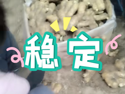 7月30日 安丘黑埠子（穩(wěn)定） ()