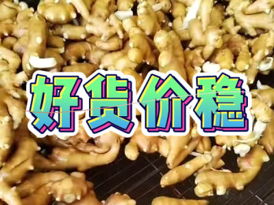 7月31日 生姜價格行情（好貨價穩(wěn)） ()