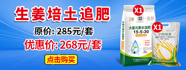 生姜培土追肥