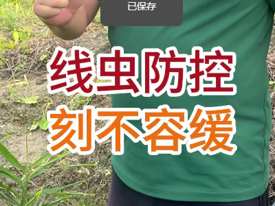 線蟲防控，刻不容緩 ()