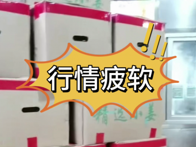8月2日廣州江南批發(fā)市場(chǎng)價(jià)格行情 ()