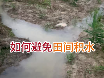如何避免田間積水 ()